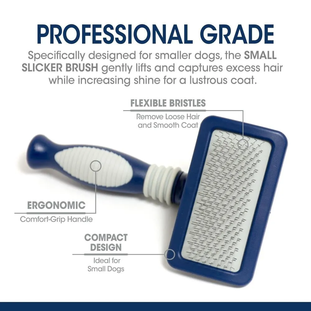 Four Paws Magic Coat Professional Series Slicker Brush For Dogs Small
